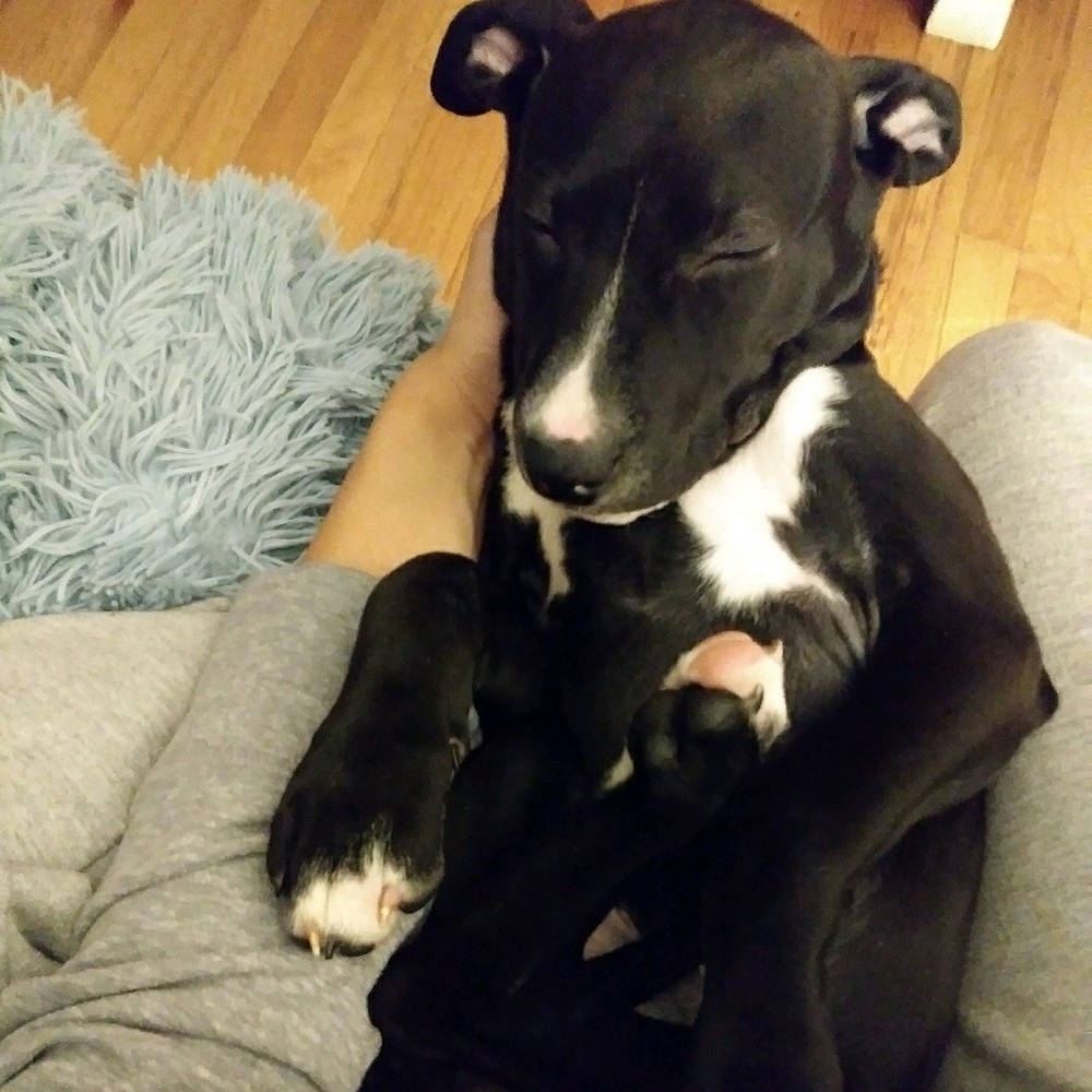 Meet your Posher, Rosa